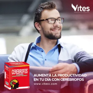 Desarrolle su inteligencia con Cerebrofos NF 50 Cápsulas - Imagen 3