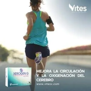 XEROGEN G 80MG + 100MG X 30 CAPSULAS - Imagen 3