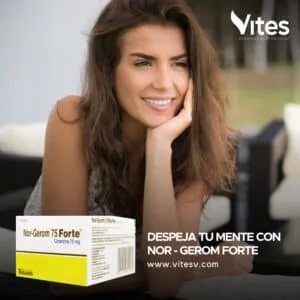 NOR-GEROM FORTE 60 Tabletas - Imagen 3